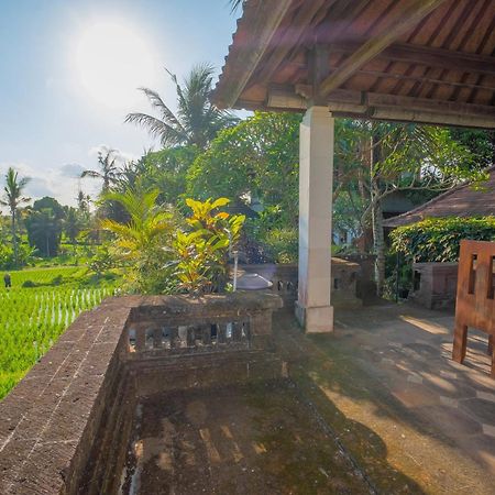 Puri Cili Villa Ubud Dış mekan fotoğraf