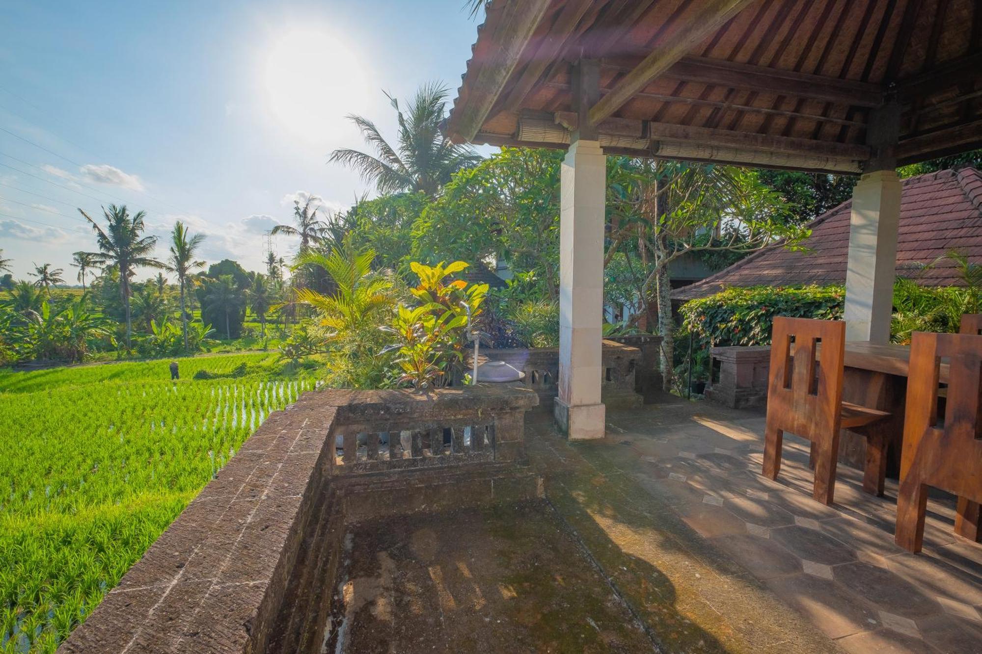 Puri Cili Villa Ubud Dış mekan fotoğraf